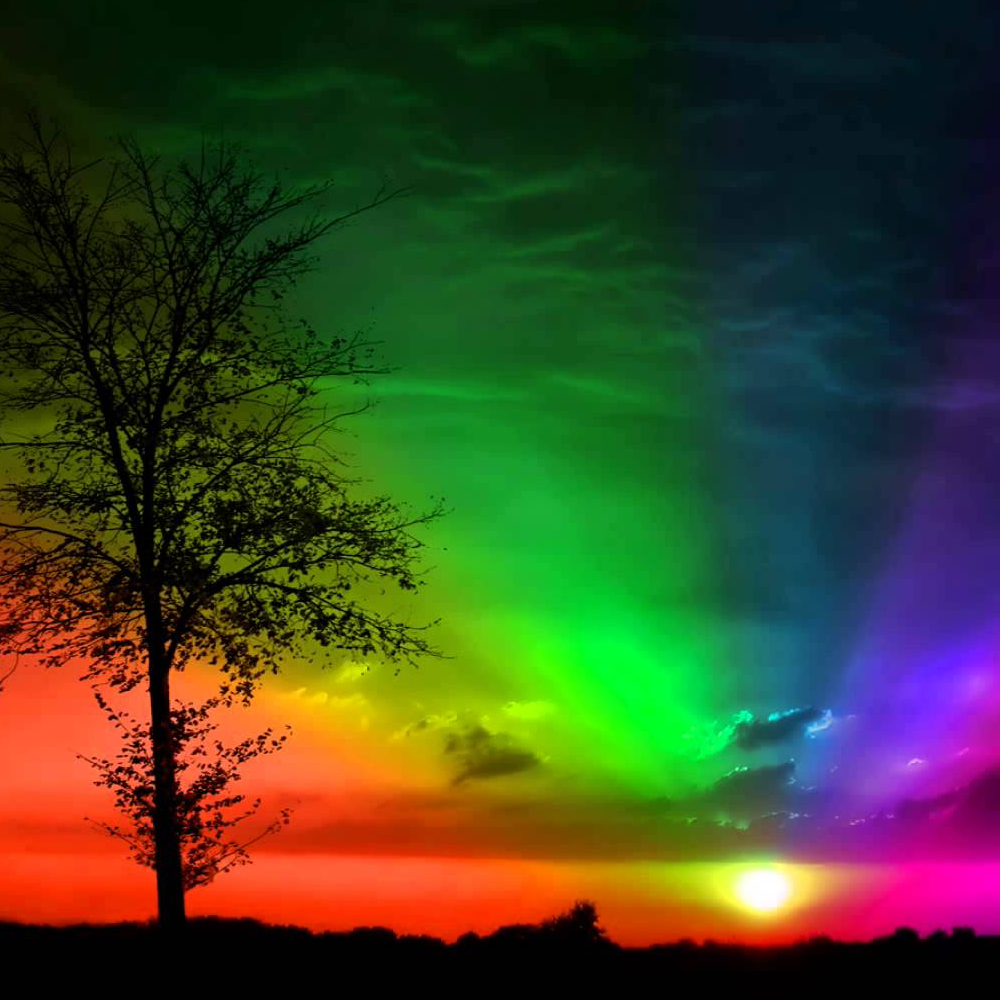 rainbow-garden