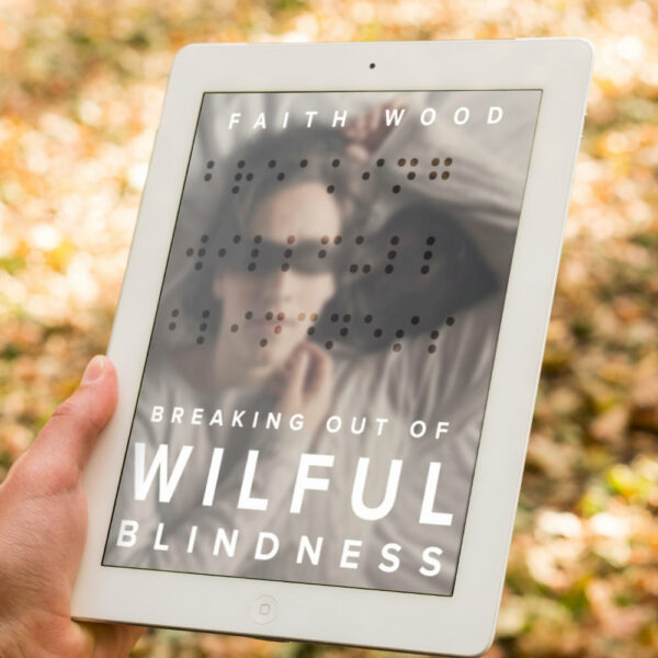Breaking Out Of Wilful Blindness e-Book